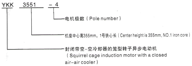 YKK系列(H355-1000)高压Y4509-12/250KW三相异步电机西安泰富西玛电机型号说明