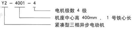 YR系列(H355-1000)高压Y4509-12/250KW三相异步电机西安西玛电机型号说明